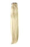 Platinum Blonde Clip-in